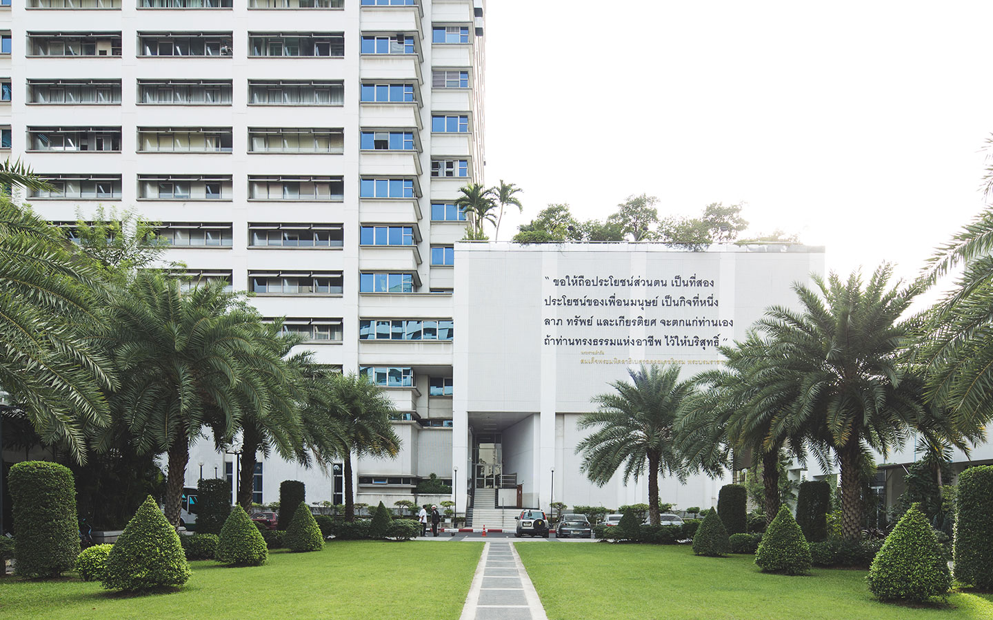 Faculty of Medicine