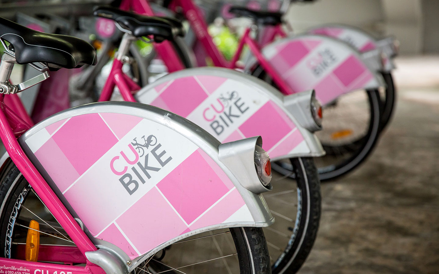 CU BIKE
