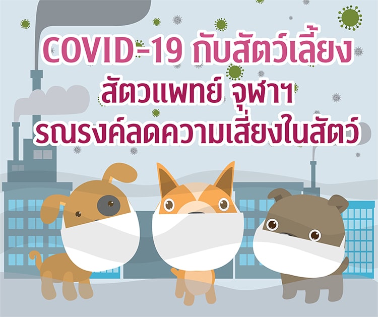 “COVID-19” กับสัตว์เลี้ยง   สัตวแพทย์ จุฬาฯ รณรงค์ลดความเสี่ยง COVID-19 ในสัตว์