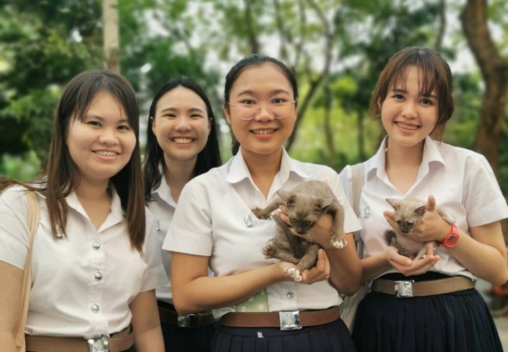 CU Vet Students Vaccinate and Neuter Stray Animals in the Chula Community –  Chulalongkorn University