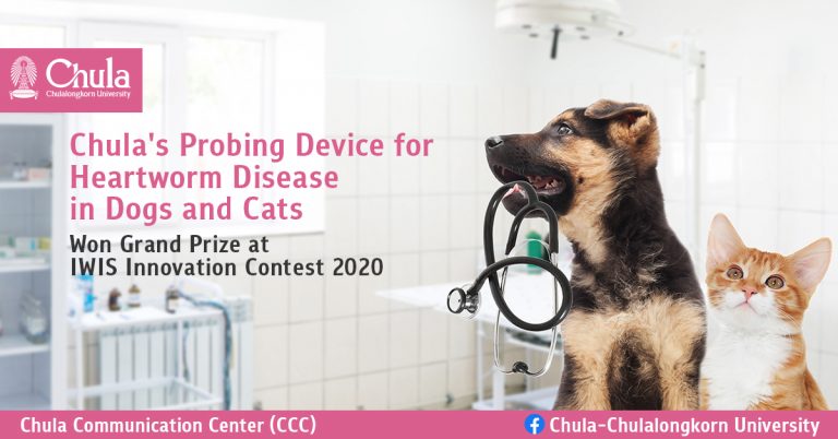 Newswise: Chula’s Probing Device for Heartworm Disease in Dogs and Cats Won Grand Prize at IWIS Innovation Contest 2020