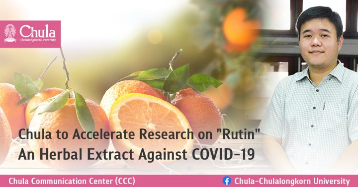 Newswise: Chula to Accelerate Research on “Rutin” — An Herbal Extract Against COVID-19
