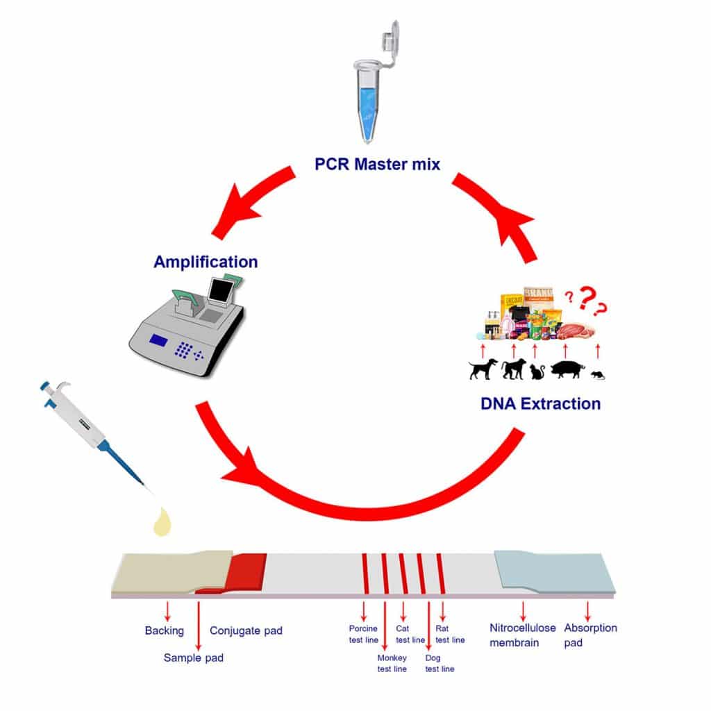 Testing process