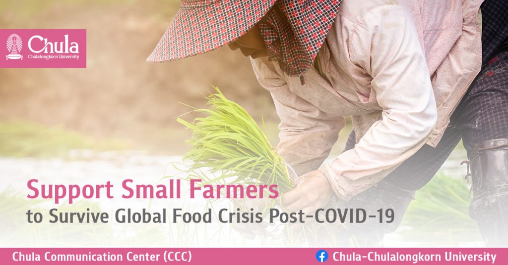 Support Small Farmers to Survive Global Food Crisis Post-COVID-19