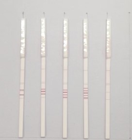 Strip Test detects traces of the 5 prohibited meat in food in one single test