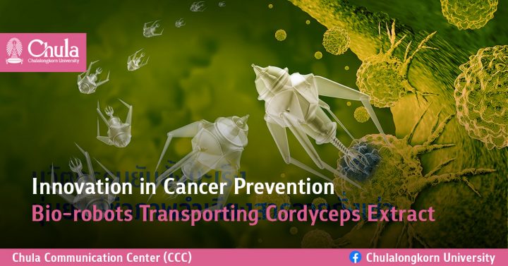Newswise: Innovation in Cancer Prevention – Bio-robots Transporting Cordyceps Extract