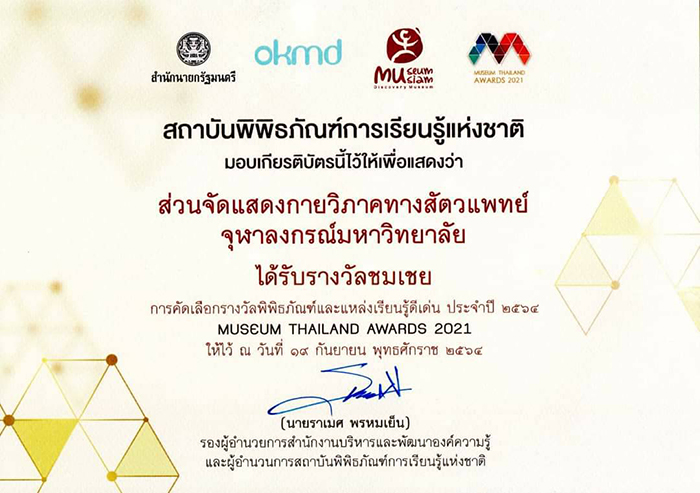CU VET Anatomy Exhibition Receives Honorable Mention at Museum Thailand Award 2021