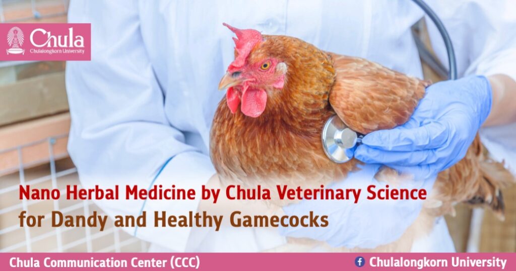 Nano Herbal Medicine by Chula Veterinary Science for Dandy and Healthy Gamecocks