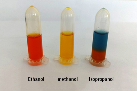 Ethanol, methanol and Isopropanol test results