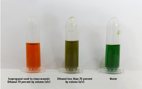 80% ethanol, less than 70% ethanol and water test results 