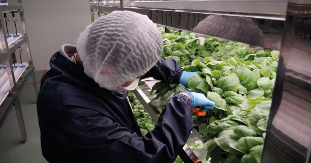 COVID-19: Scientists in Thailand Using Tobacco Leaves to Develop Plant-based Vaccine to Fight Omicron