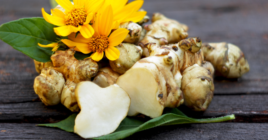 Jerusalem artichoke