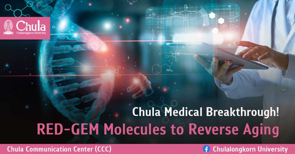 Chula Medical Breakthrough! RED-GEM Molecules to Reverse Aging