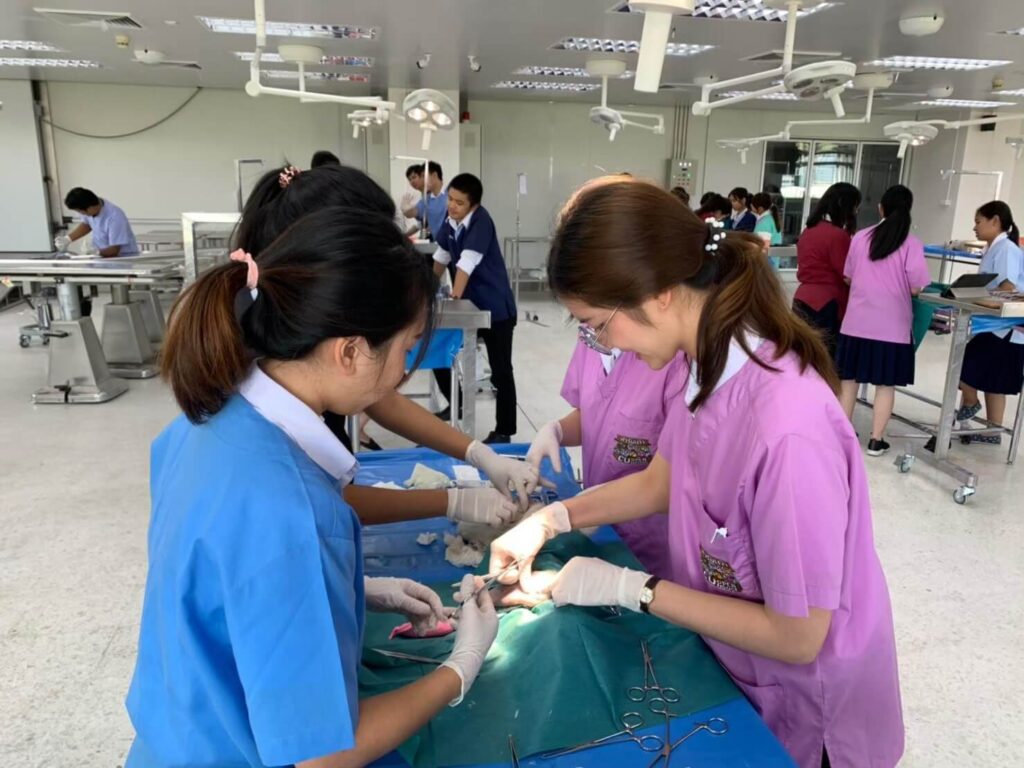 CU_ICVCT-veterinary surgery class