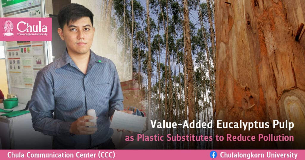 Eucalyptus Pulp as Plastic Substitutes