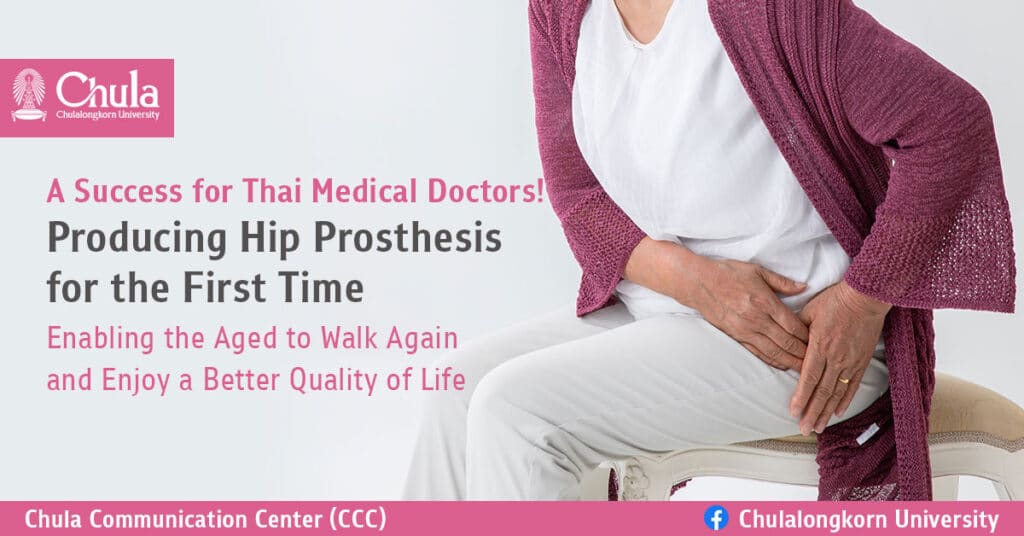 Hip Prosthesis