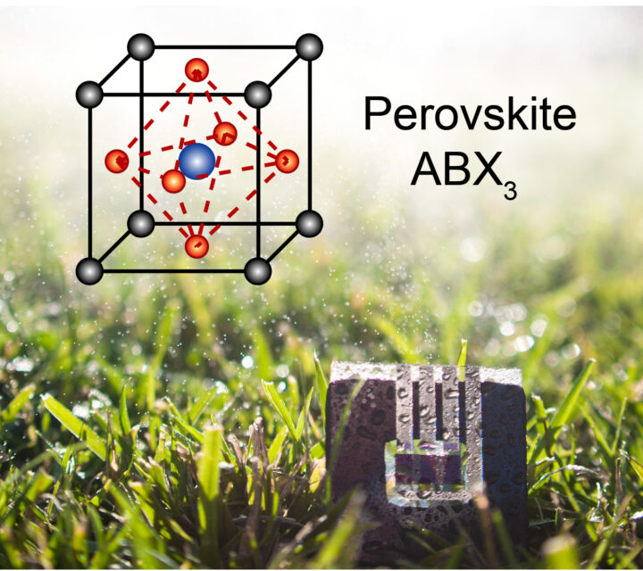 Perovskite Solar Cell