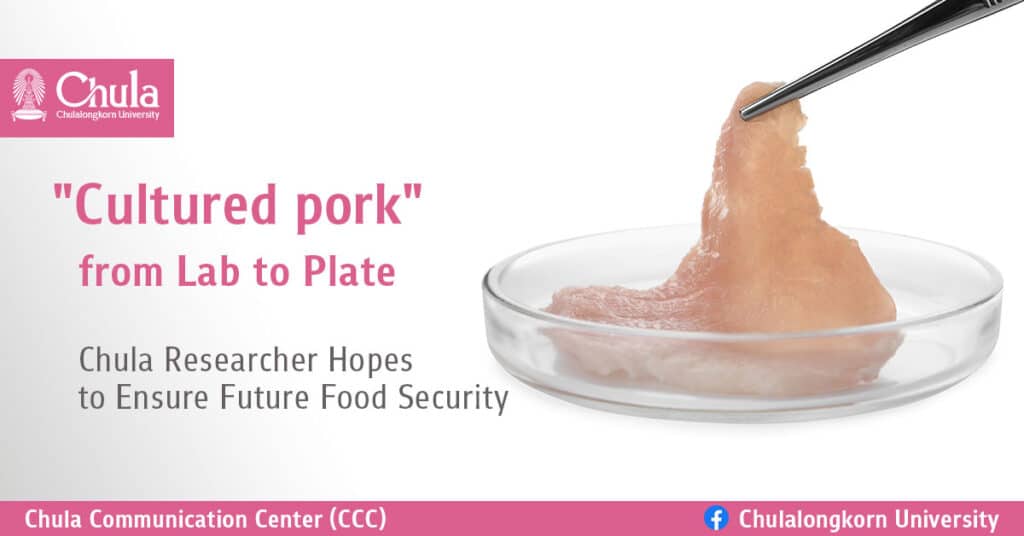 Cultured Pork