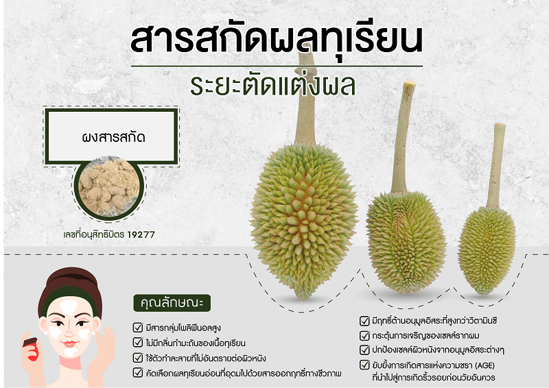 คุณสมบัติของสารสกัดจากผลทุเรียนอ่อน