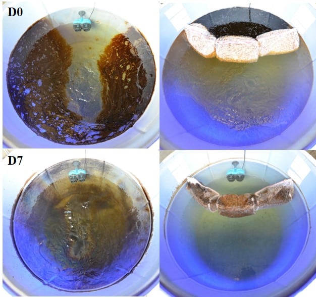 oil-eating microbes performance tests