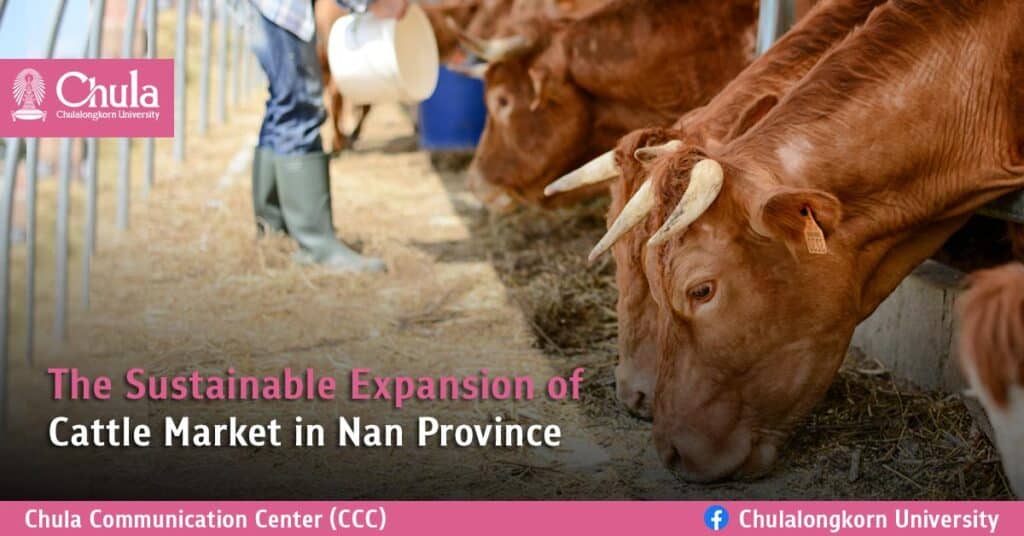 The-Sustainable-Expansion-of-Cattle-Market-in-Nan-Province