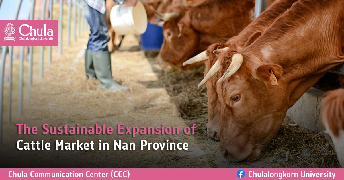 The Sustainable Expansion of Cattle Market in Nan Province