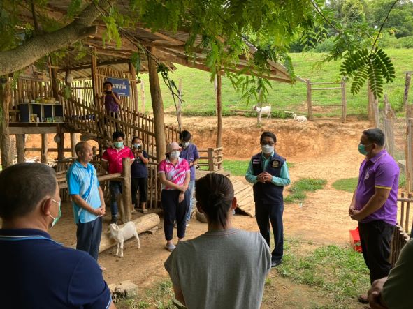 Ruminant Production Model in Nan Province-9