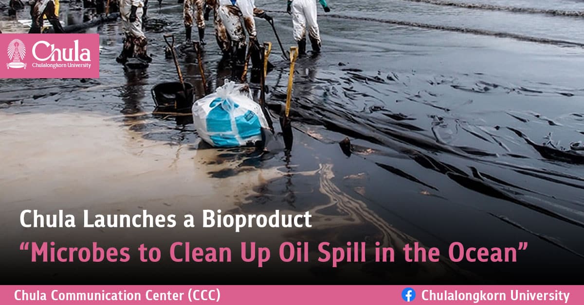Chula Launches a Bioproduct “Microbes to Clean Up Oil Spill in the