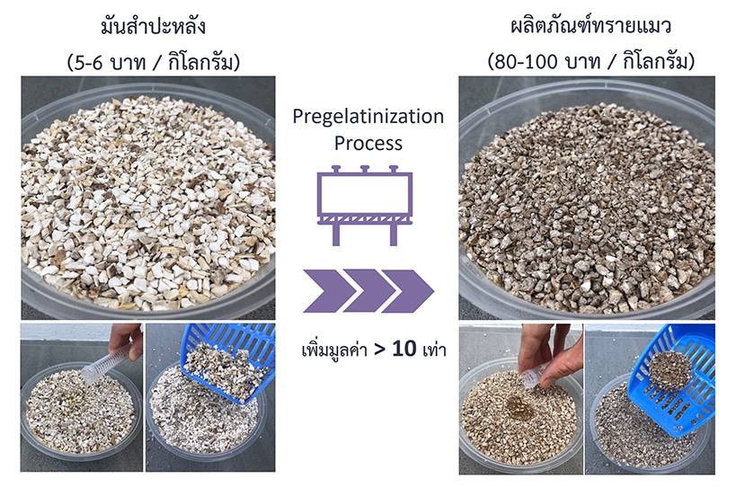 กระบวนการผลิตทรายแมวจากมันสำปะหลัง