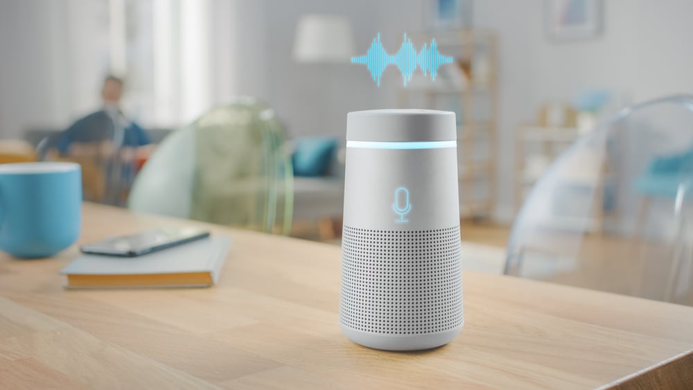 An example of AI Voice Generator.