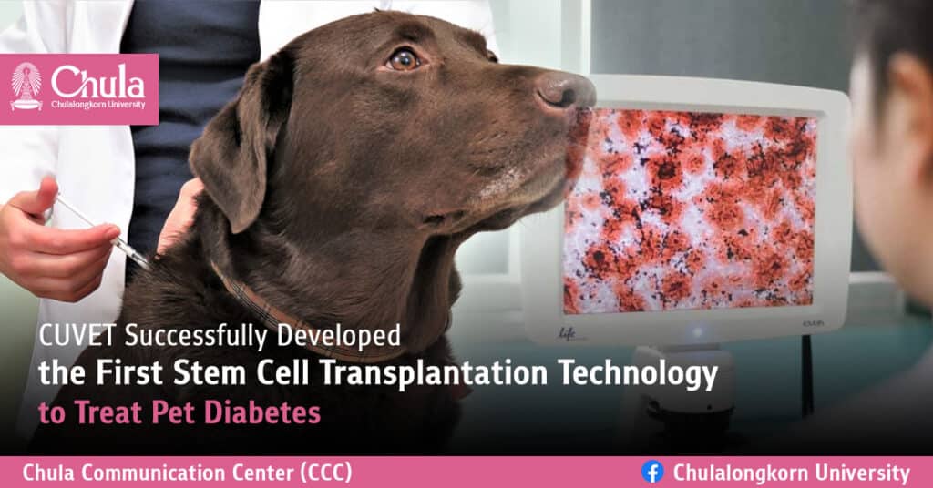 Veterinary-Stem-Cell