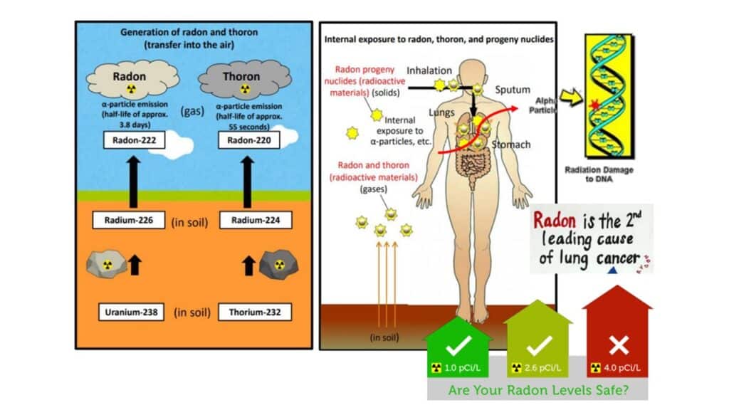 The danger of Radon to the Body