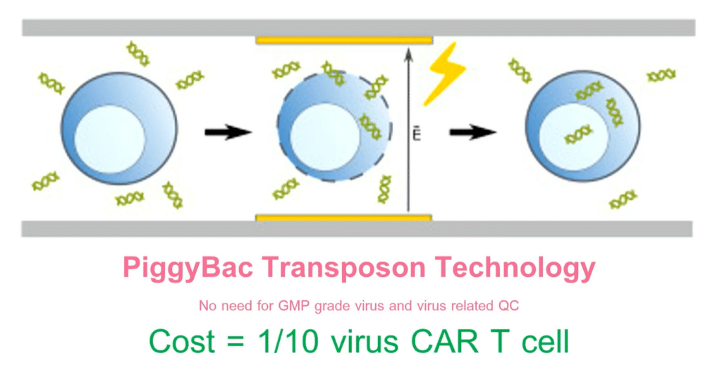 Chula Impact17_CAR-T cell_non-viral_CAR-production