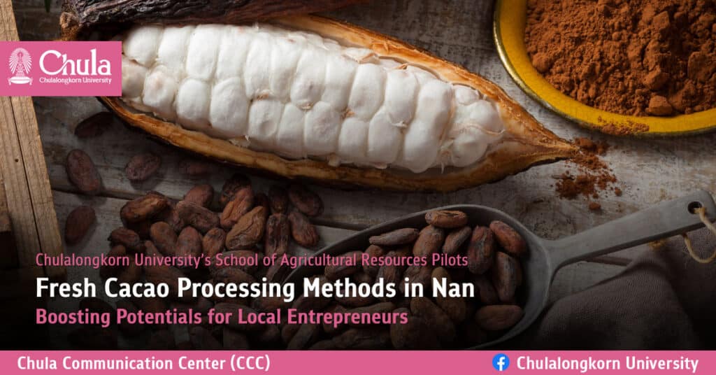 Fresh-Cacao-Processing-Methods-in-Nan