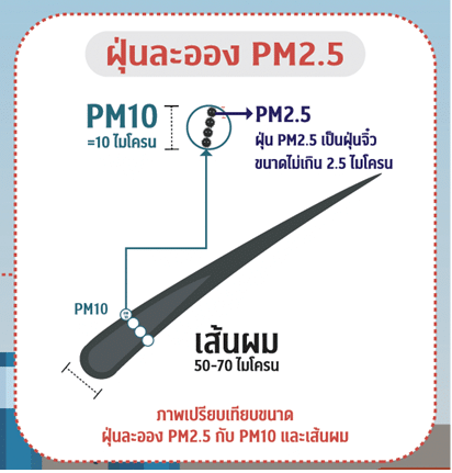 ภาพเปรียบเทียบขนาดฝุ่น PM2.5