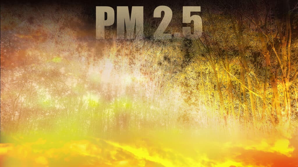 การเผาในที่โล่ง ทำให้เกิดฝุ่น PM2.5