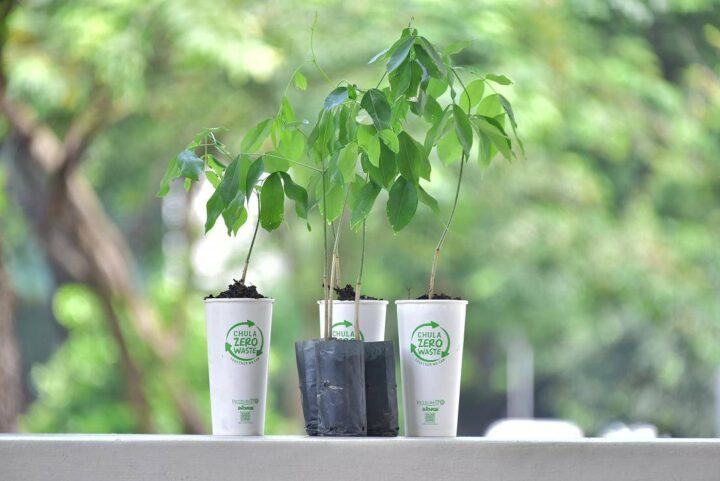 Chula’s Pledge to Be Net Zero – Chula Unveiled 5 Key Strategies to ...