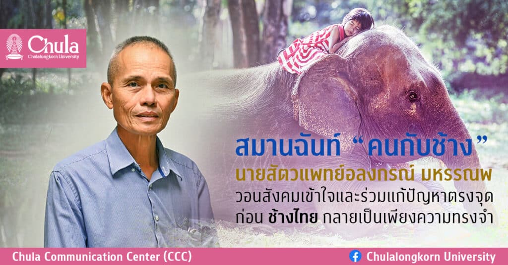 Banner_Thai Elephant-Alongkorn_Mahannop-BG2