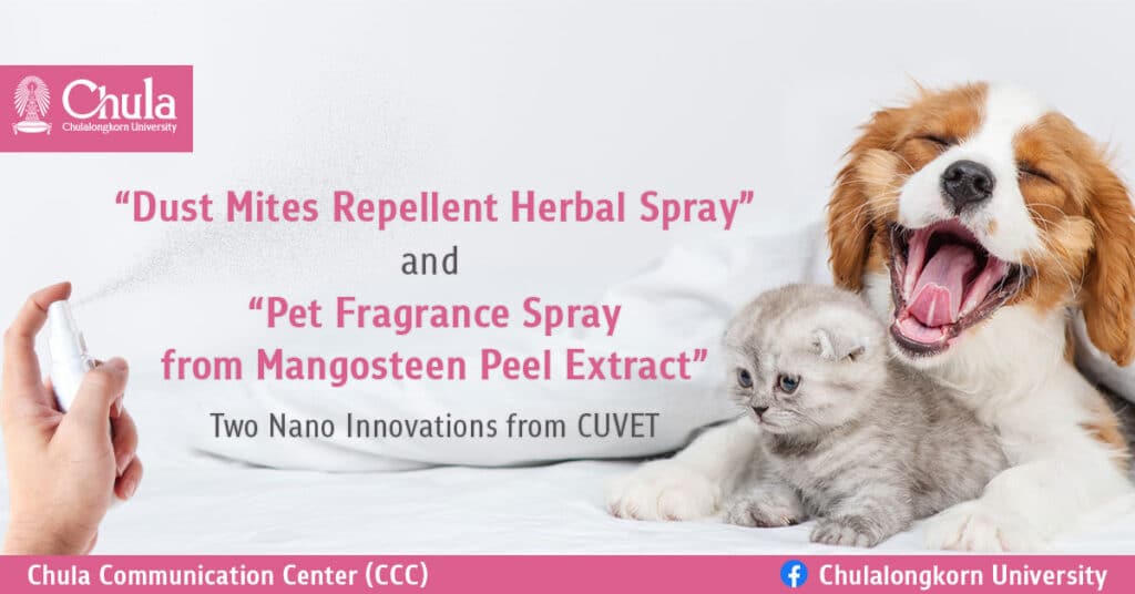 Nano Innovations from CUVET