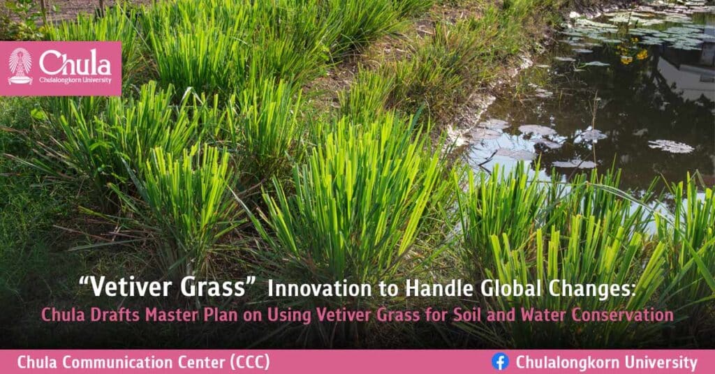 “Vetiver Grass” Innovation to Handle Global Changes: Chula Drafts Master Plan on Using Vetiver Grass for Soil and Water Conservation