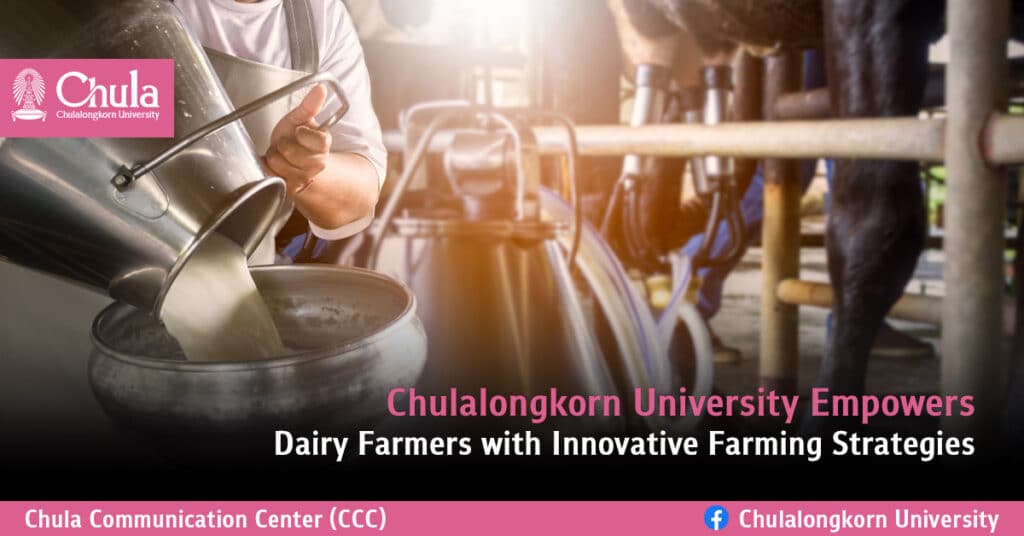 Chulalongkorn University Empowers Dairy Farmers with Innovative Farming Strategies