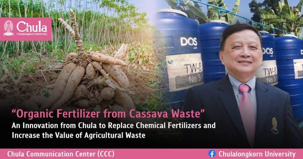 “Organic Fertilizer from Cassava Waste” An Innovation from Chula to Replace Chemical Fertilizers and Increase the Value of Agricultural waste