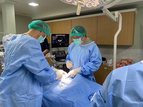 Repair Mitral Valve Regurgitation in Dogs