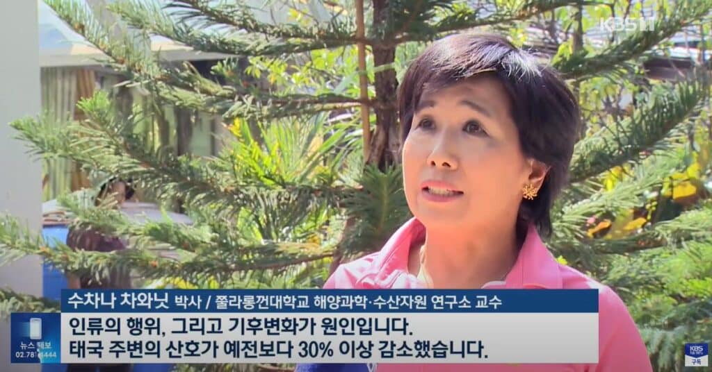 Prof.Dr. Suchana Chavanich gave the interview for KBS