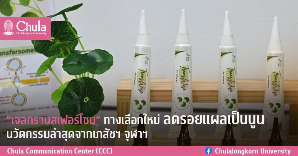 “เจลทรานสเฟอร์โซม” ทางเลือกใหม่ลดรอยแผลเป็นนูน นวัตกรรมล่าสุดจากเภสัชฯ จุฬาฯ