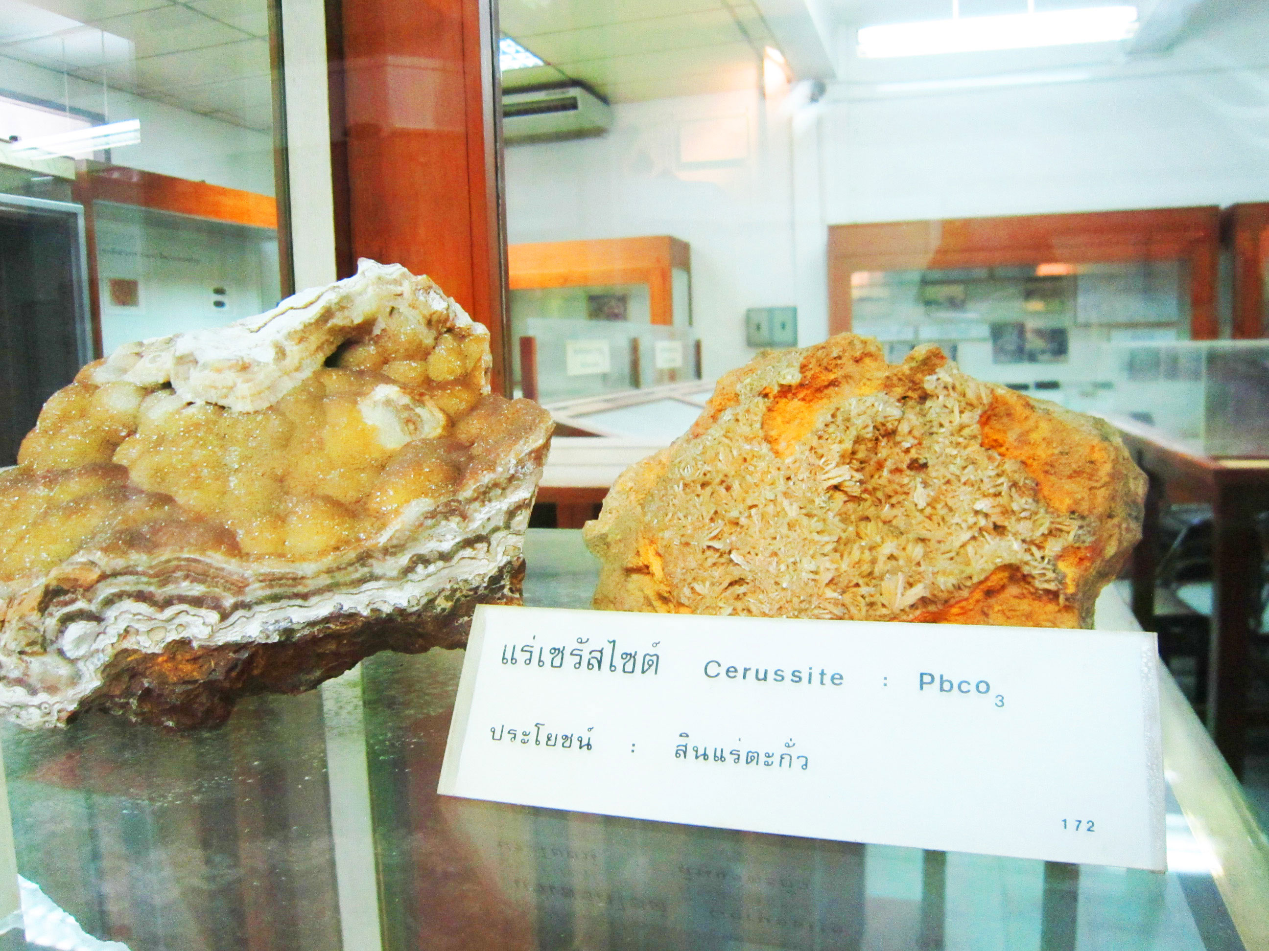 พิพิธภัณฑ์ธรณีวิทยา Geology Museum