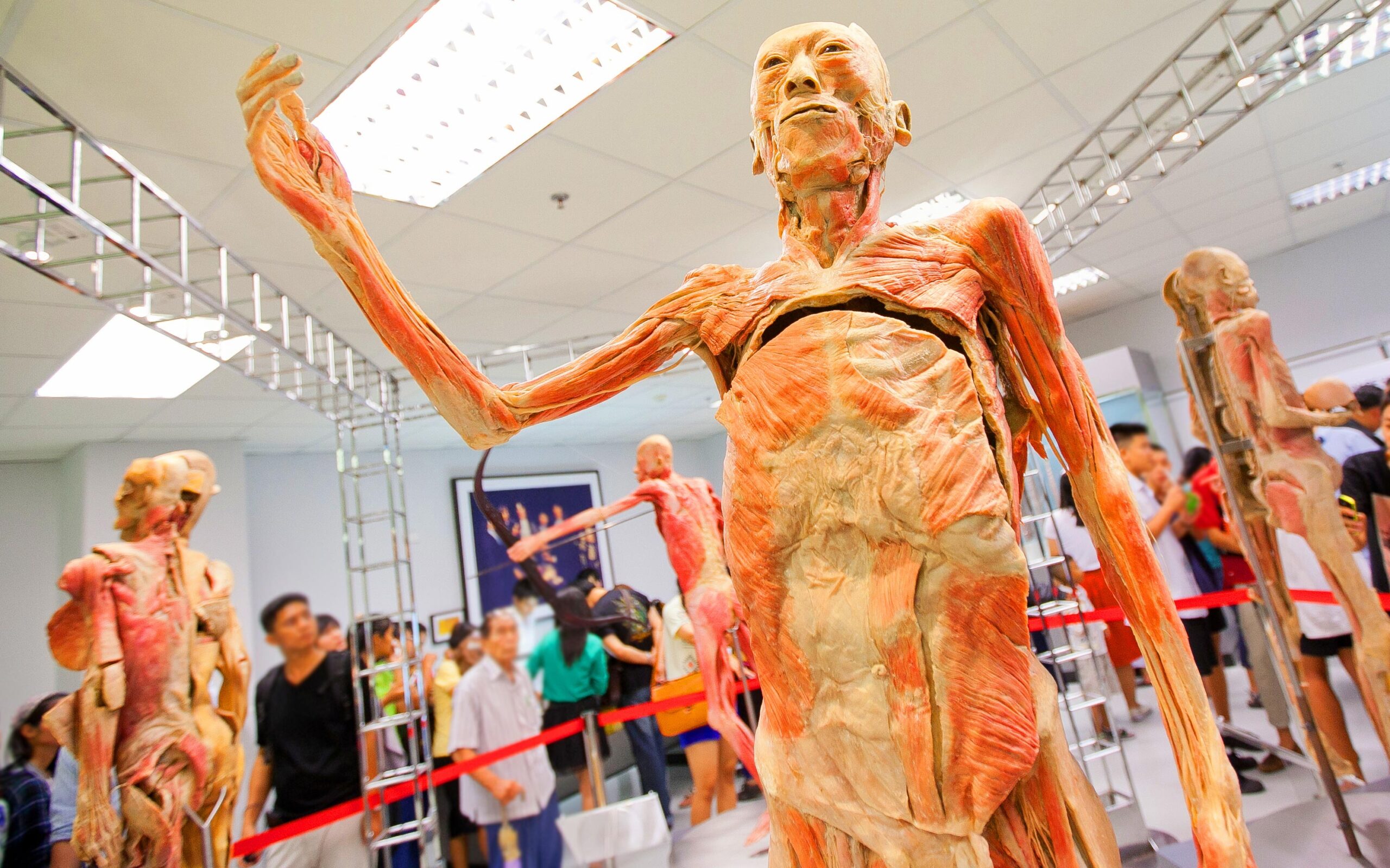 พิพิธภัณฑ์ร่างกายมนุษย์ Human Body Museum 
