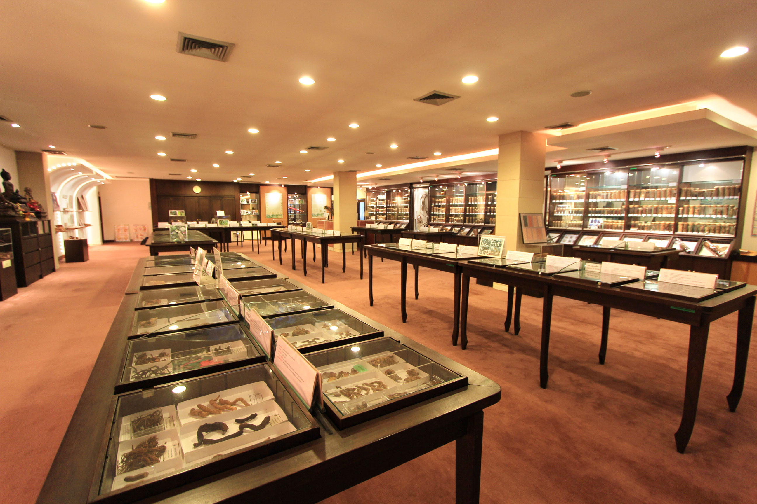 พิพิธภัณฑ์สมุนไพร Herbal Museum