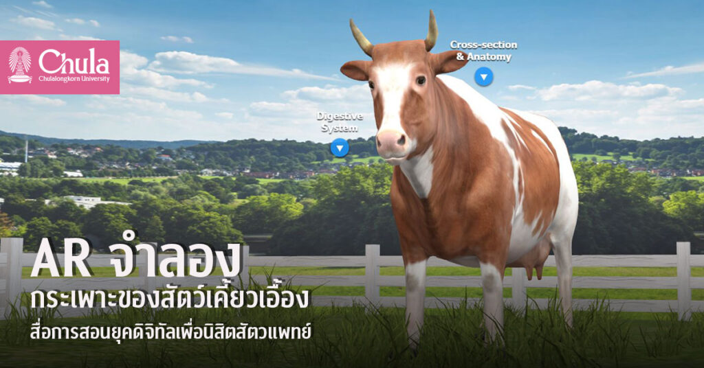 AR จำลองเพาะวัว