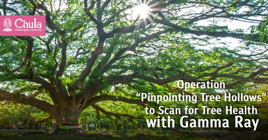 Operation “Pinpointing Tree Hollows” to Scan for Tree Health with Gamma Ray